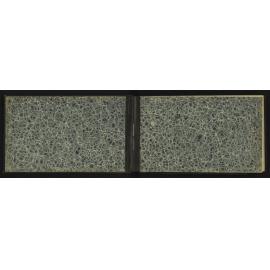 WN_2239-0002