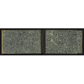 WN_2239-0031
