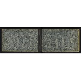WN_2281-0002