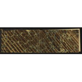 WN_0569-0002