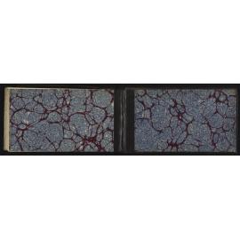 WN_2294-0019
